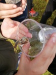 Wasserprojekt_3KL_06.jpg