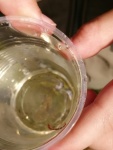 Wasserprojekt_3KL_10.jpg