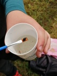 Wasserprojekt_3KL_12.jpg
