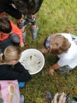 Wasserprojekt_3KL_15.jpg