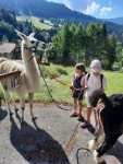 Lamawanderung_2KL_2021_17.jpeg