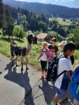 Lamawanderung_2KL_2021_20.jpeg