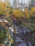 IMG-20221102-WA0066.jpg