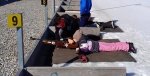 Bild (11).jpeg