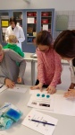 Bild 1 (10).jpeg