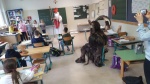 Nikolaus_01.jpg