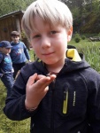 ImkereiSchett_07.jpeg