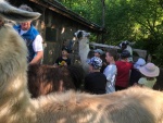 Lamawanderung_06.jpg