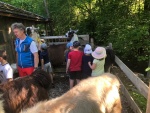 Lamawanderung_07.jpg