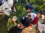 Lamawanderung_12.jpg